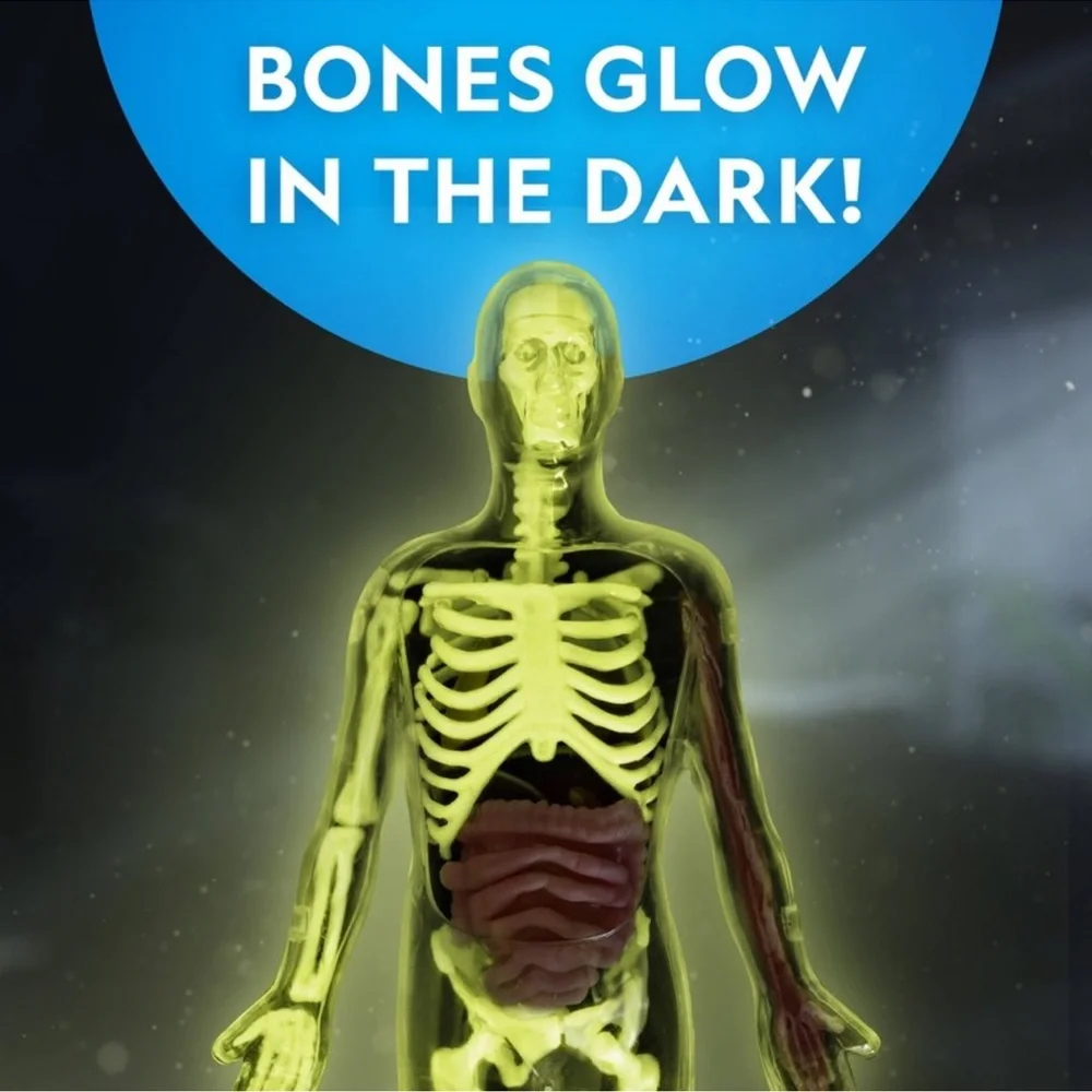 National Geographic Glow-In-The-Dark Human Body: Science Kit & Activity Guide